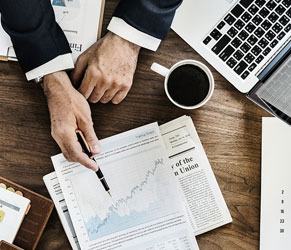 Business Development Services