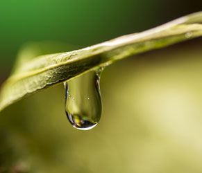 Water PuriFIcation Technologies Service